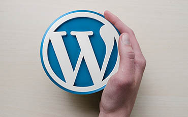 Plugin WordPress